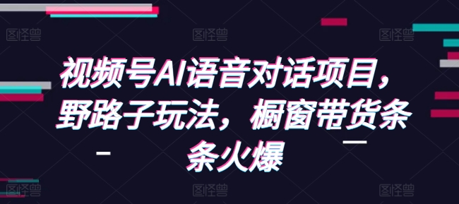 视频号AI语音对话项目，野路子玩法，橱窗带货条条火爆-极码AI- 热点知汇专注Ai网赚项目资源知识聚汇