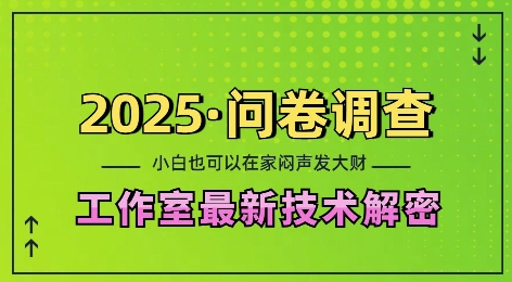 2025问卷调查最新工作室技术解密：一个人在家也可以闷声发大财，小白一天2张，可矩阵放大-极码AI- 热点知汇专注Ai网赚项目资源知识聚汇