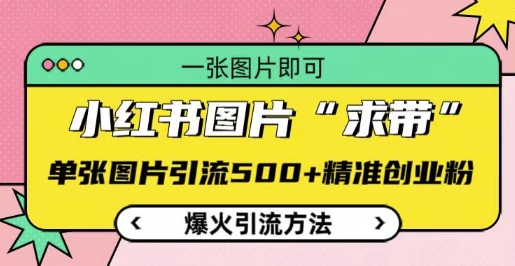 小红书图片‘求带’爆火引流法，单张图片引流500+精准创业粉-极码AI- 热点知汇专注Ai网赚项目资源知识聚汇