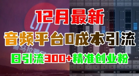 12月最新：音频平台0成本引流，日引流300+精准创业粉-极码AI- 热点知汇专注Ai网赚项目资源知识聚汇
