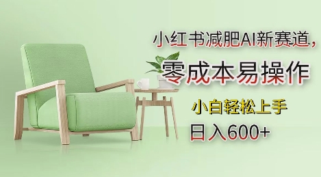 小红书减肥AI新赛道，零成本易操作，日入多张，小白轻松上手-极码AI- 热点知汇专注Ai网赚项目资源知识聚汇