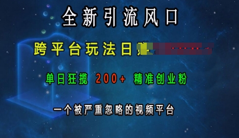 全新引流风口，跨平台玩法日入上k，单日狂揽200+精准创业粉，一个被严重忽略的视频平台-极码AI- 热点知汇专注Ai网赚项目资源知识聚汇