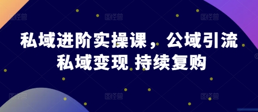 私域进阶实操课，公域引流 私域变现 持续复购-极码AI- 热点知汇专注Ai网赚项目资源知识聚汇