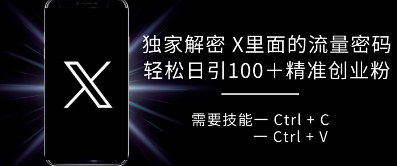 独家解密 X 里面的流量密码，复制粘贴轻松日引100+-极码AI- 热点知汇专注Ai网赚项目资源知识聚汇