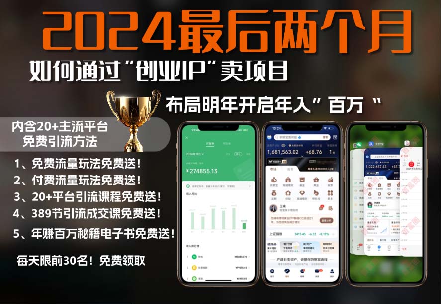 2024最后两个月如何通过”创业IP“卖项目年入”百万“,创业IP+最强引流...-极码AI- 热点知汇专注Ai网赚项目资源知识聚汇