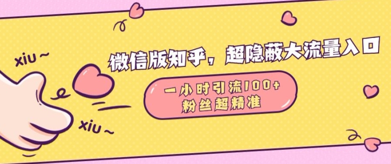 微信版知乎，超隐蔽流量入口1小时引流100人，粉丝质量超高【揭秘】-极码AI- 热点知汇专注Ai网赚项目资源知识聚汇