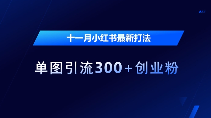 十一月小红书最新打法，单图引流300+创业粉【揭秘】-极码AI- 热点知汇专注Ai网赚项目资源知识聚汇